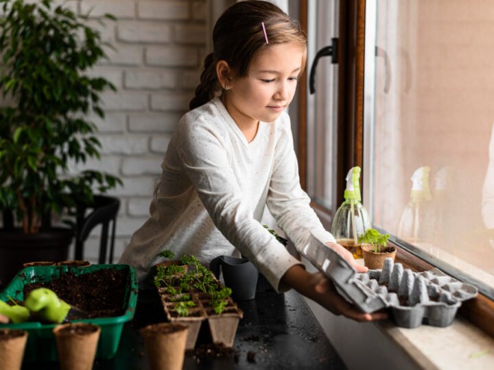 Como Cultivar uma Horta Funcional em Apartamento