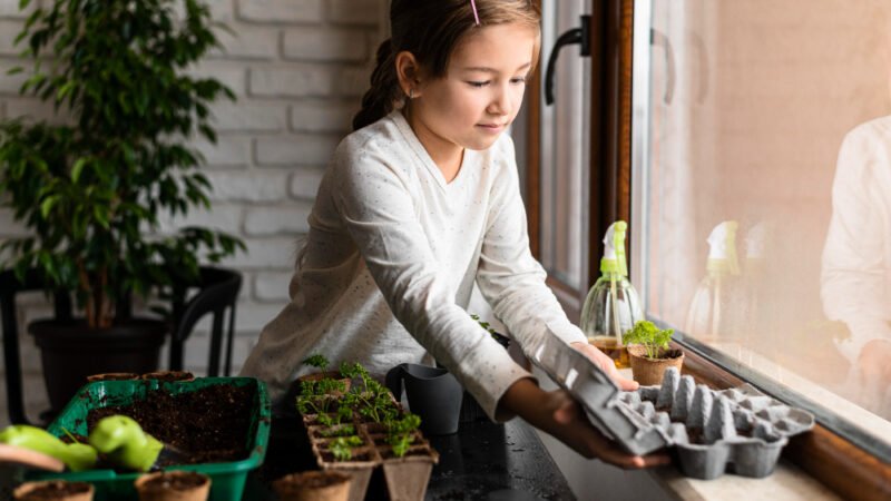 Como Cultivar uma Horta Funcional em Apartamento